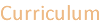 Curriculum